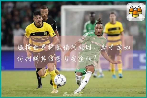 选择世界杯竞猜网站时，新手该如何判断其信誉与安全性？