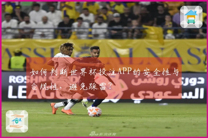 如何判断世界杯投注APP的安全性与合规性，避免踩雷？