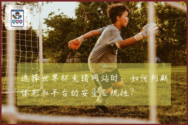 选择世界杯竞猜网站时，如何判断体彩和平台的安全合规性？