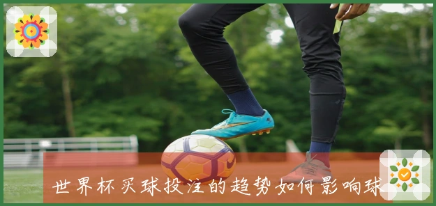 世界杯买球投注的趋势如何影响球队表现和球迷心态