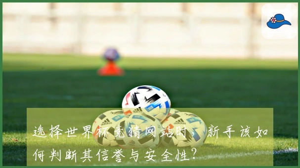 选择世界杯竞猜网站时，新手该如何判断其信誉与安全性？