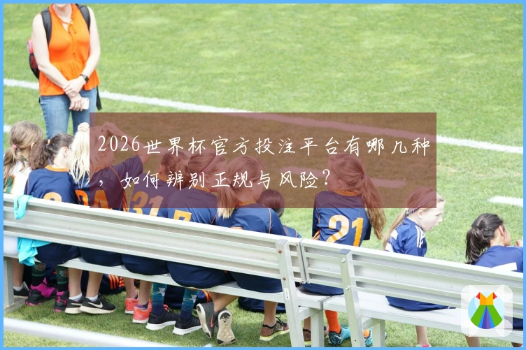 2026世界杯官方投注平台有哪几种，如何辨别正规与风险？