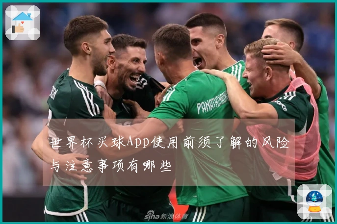 世界杯买球App使用前须了解的风险与注意事项有哪些