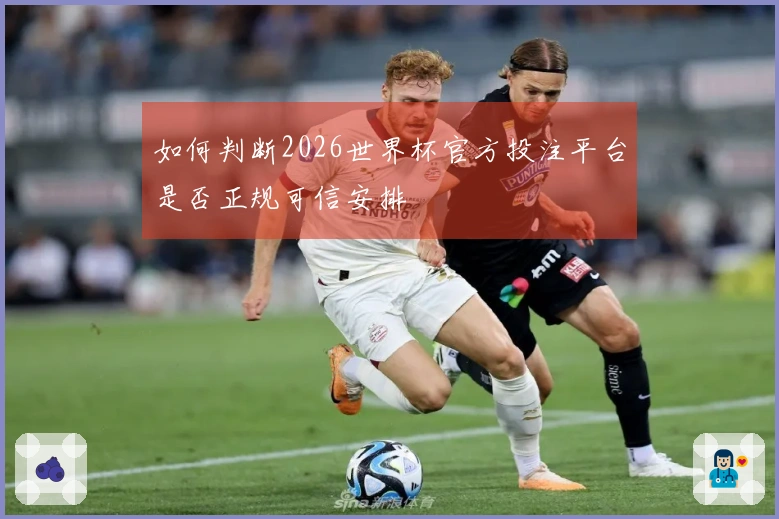 如何判断2026世界杯官方投注平台是否正规可信安排