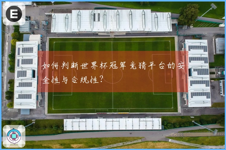 如何判断世界杯冠军竞猜平台的安全性与合规性？