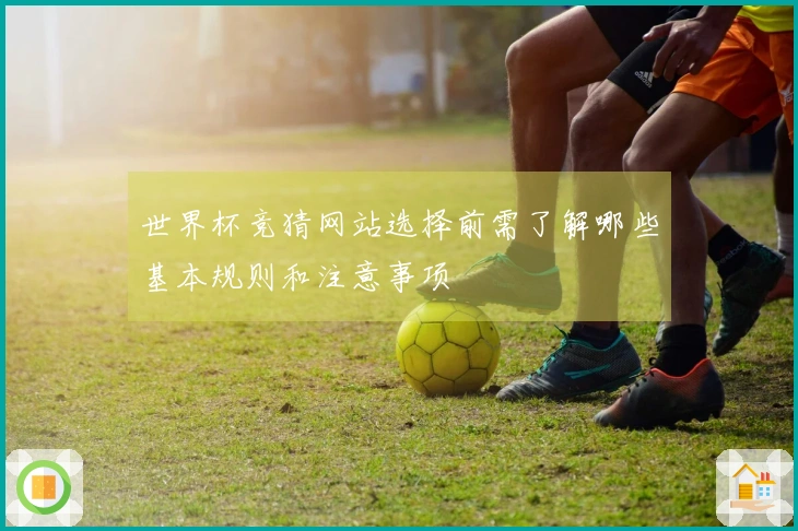 世界杯竞猜网站选择前需了解哪些基本规则和注意事项