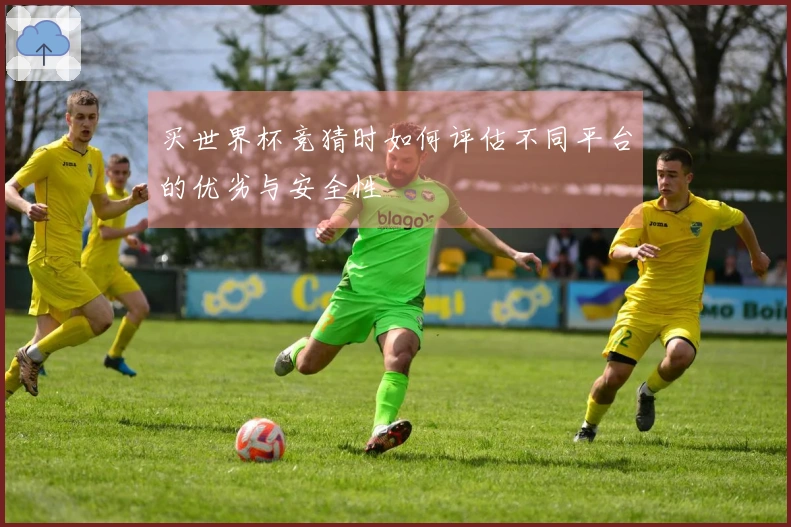 买世界杯竞猜时如何评估不同平台的优劣与安全性