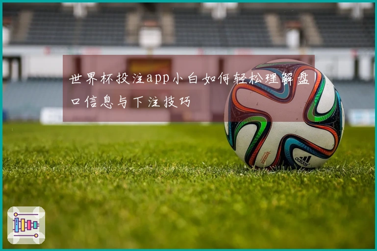 世界杯投注app小白如何轻松理解盘口信息与下注技巧