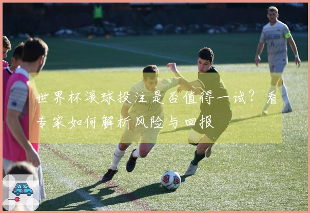 世界杯滚球投注是否值得一试？看专家如何解析风险与回报