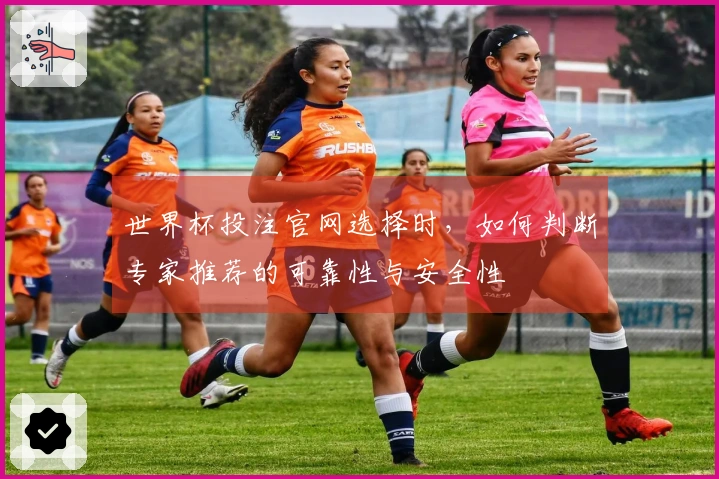 世界杯投注官网选择时，如何判断专家推荐的可靠性与安全性