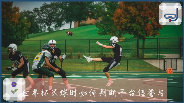 世界杯买球时如何判断平台信誉与安全性以避免踩坑