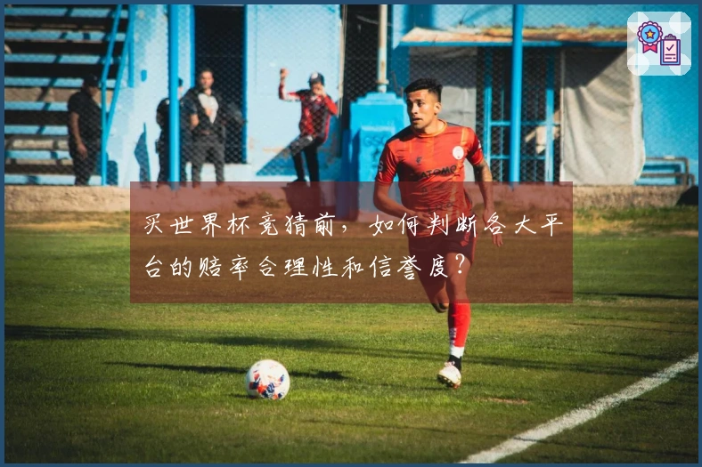 买世界杯竞猜前,如何判断各大平台的赔率合理性和信誉度?