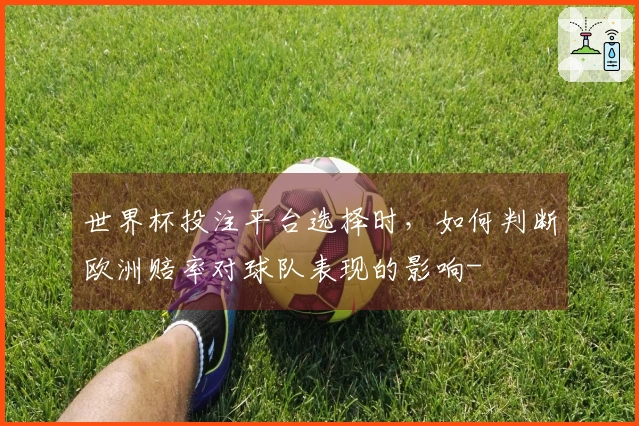 世界杯投注平台选择时，如何判断欧洲赔率对球队表现的影响-