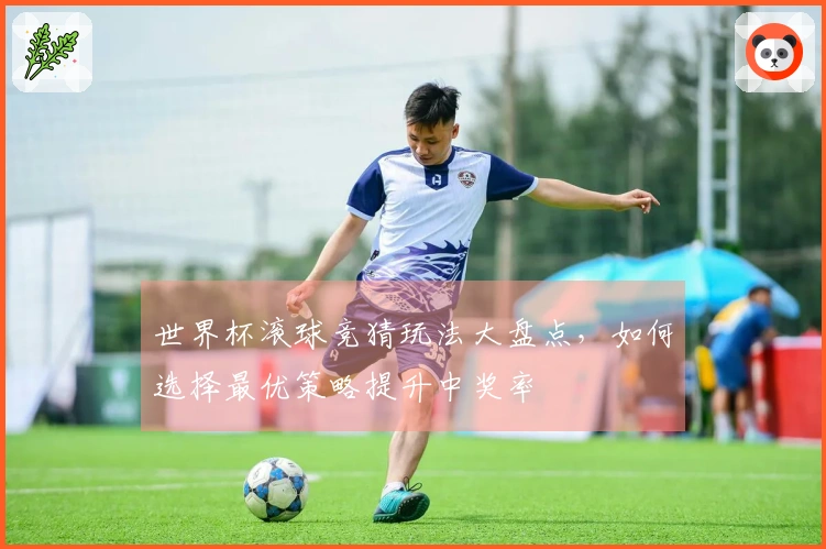 世界杯滚球竞猜玩法大盘点，如何选择最优策略提升中奖率