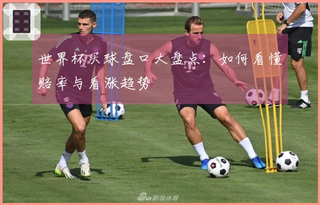 世界杯买球盘口大盘点：如何看懂赔率与看涨趋势