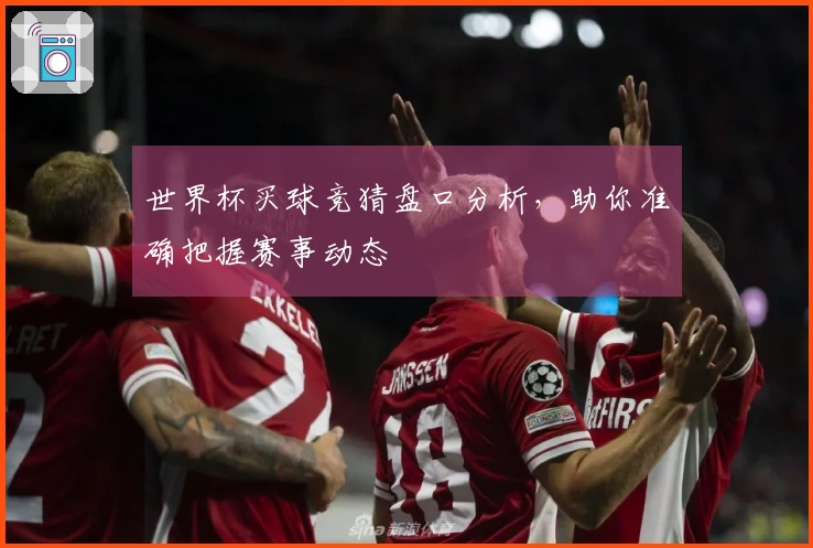 世界杯买球竞猜盘口分析，助你准确把握赛事动态