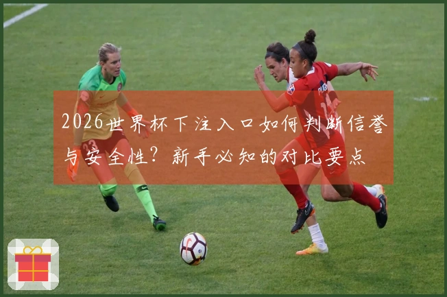 2026世界杯下注入口如何判断信誉与安全性？新手必知的对比要点