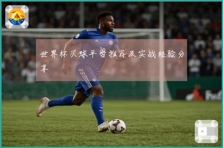 世界杯买球平台推荐及实战经验分享
