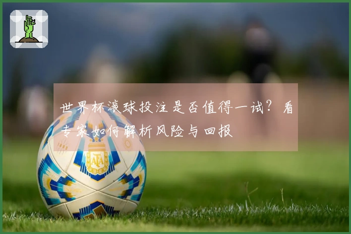 世界杯滚球投注是否值得一试？看专家如何解析风险与回报