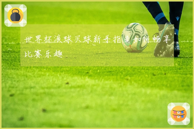世界杯滚球买球新手指南如何畅享比赛乐趣