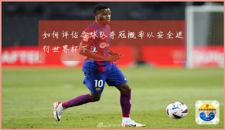 如何评估各球队夺冠概率以安全进行世界杯下注
