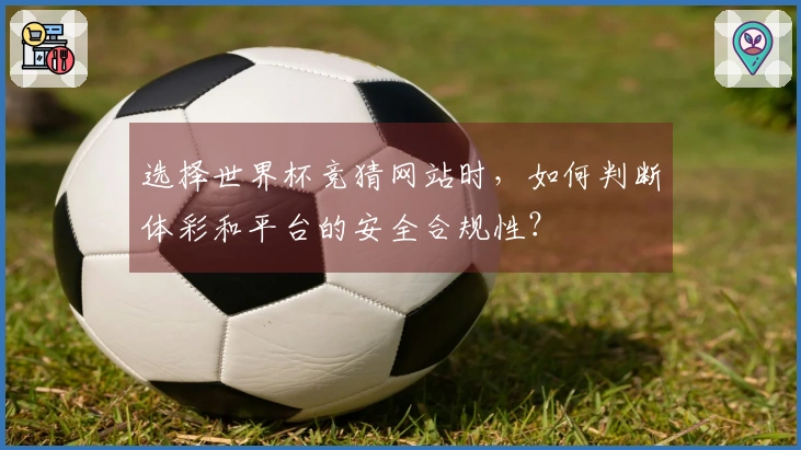 选择世界杯竞猜网站时，如何判断体彩和平台的安全合规性？