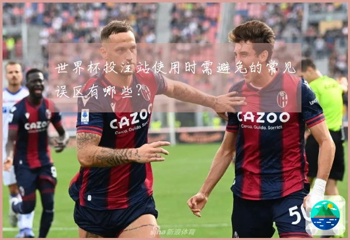 世界杯投注站使用时需避免的常见误区有哪些?