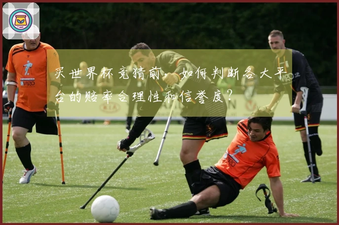 买世界杯竞猜前，如何判断各大平台的赔率合理性和信誉度？