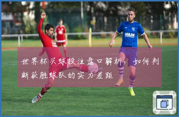 世界杯买球投注盘口解析，如何判断获胜球队的实力差距