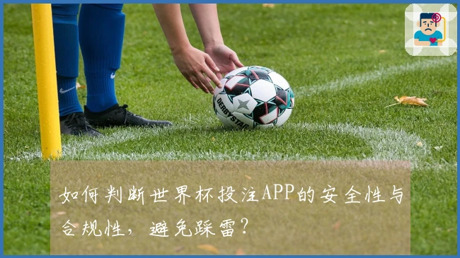 如何判断世界杯投注APP的安全性与合规性,避免踩雷?