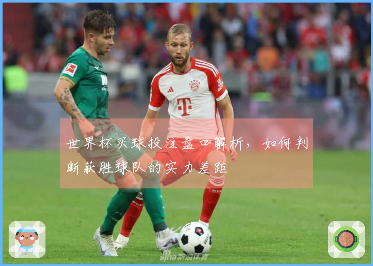 世界杯买球投注盘口解析，如何判断获胜球队的实力差距