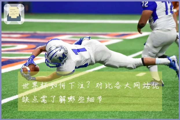 世界杯如何下注?对比各大网站优缺点需了解哪些细节