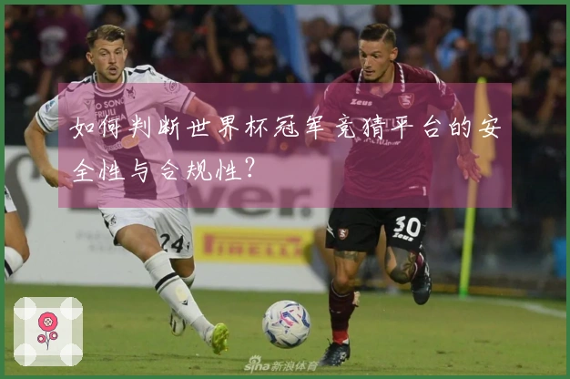 如何判断世界杯冠军竞猜平台的安全性与合规性？