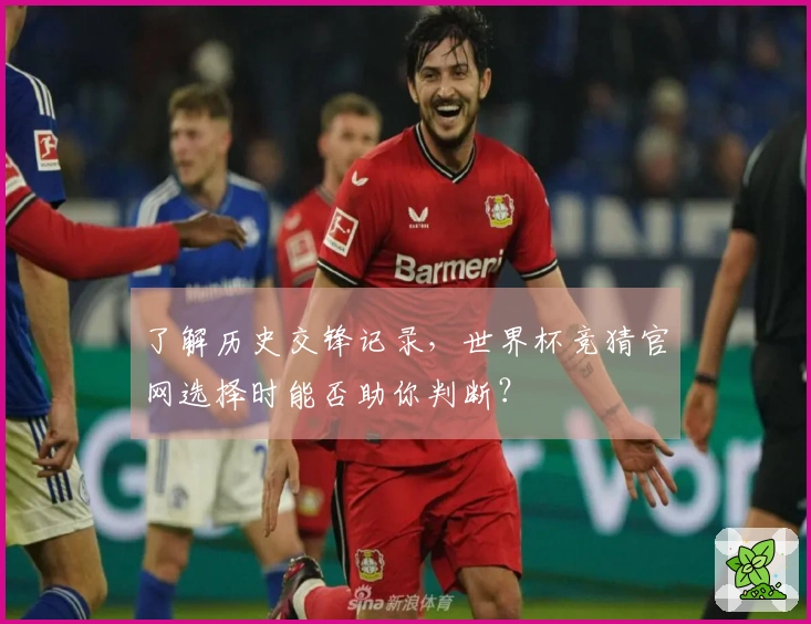 了解历史交锋记录，世界杯竞猜官网选择时能否助你判断？