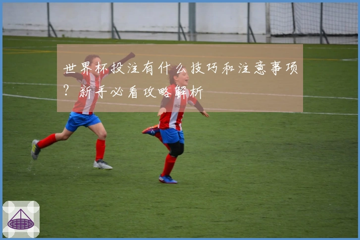 世界杯投注有什么技巧和注意事项？新手必看攻略解析