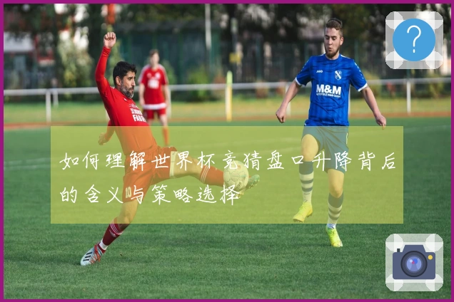 如何理解世界杯竞猜盘口升降背后的含义与策略选择