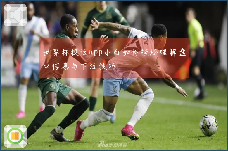 世界杯投注app小白如何轻松理解盘口信息与下注技巧
