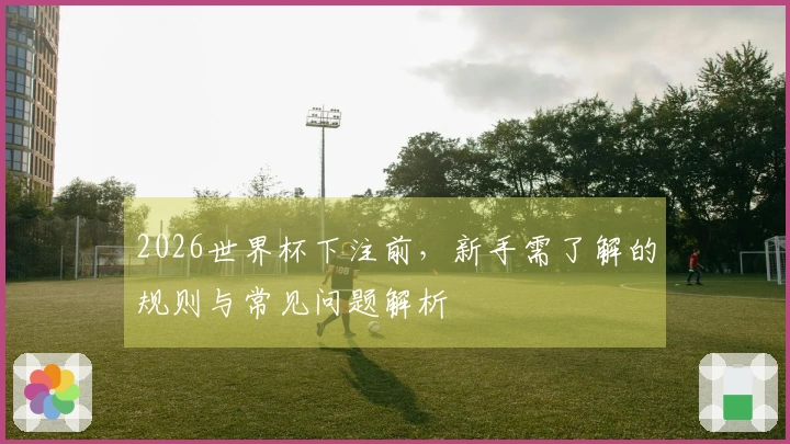 2026世界杯下注前,新手需了解的规则与常见问题解析