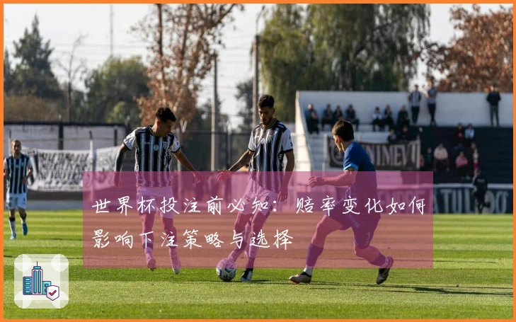 世界杯投注前必知：赔率变化如何影响下注策略与选择