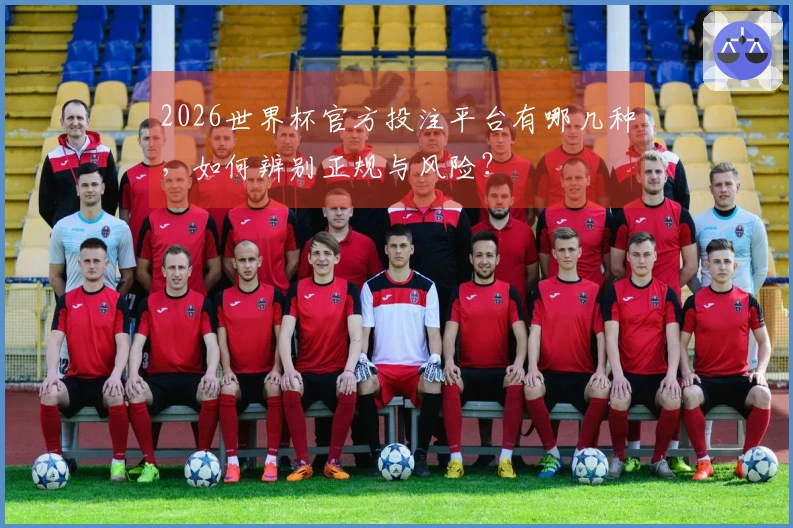 2026世界杯官方投注平台有哪几种，如何辨别正规与风险？