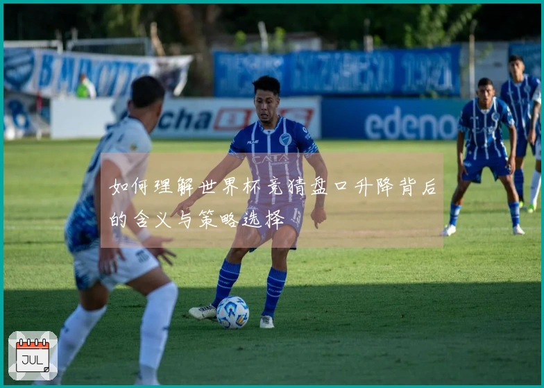 如何理解世界杯竞猜盘口升降背后的含义与策略选择
