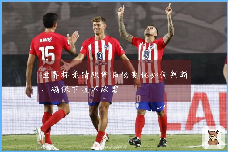 世界杯竞猜软件临场变化如何判断，确保下注不踩雷