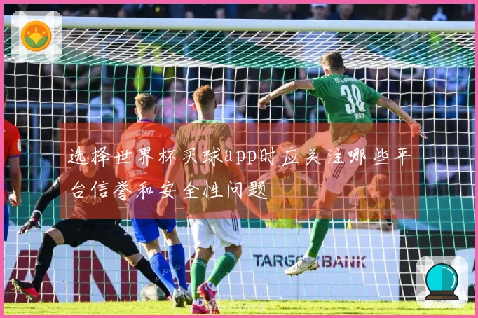 选择世界杯买球app时应关注哪些平台信誉和安全性问题